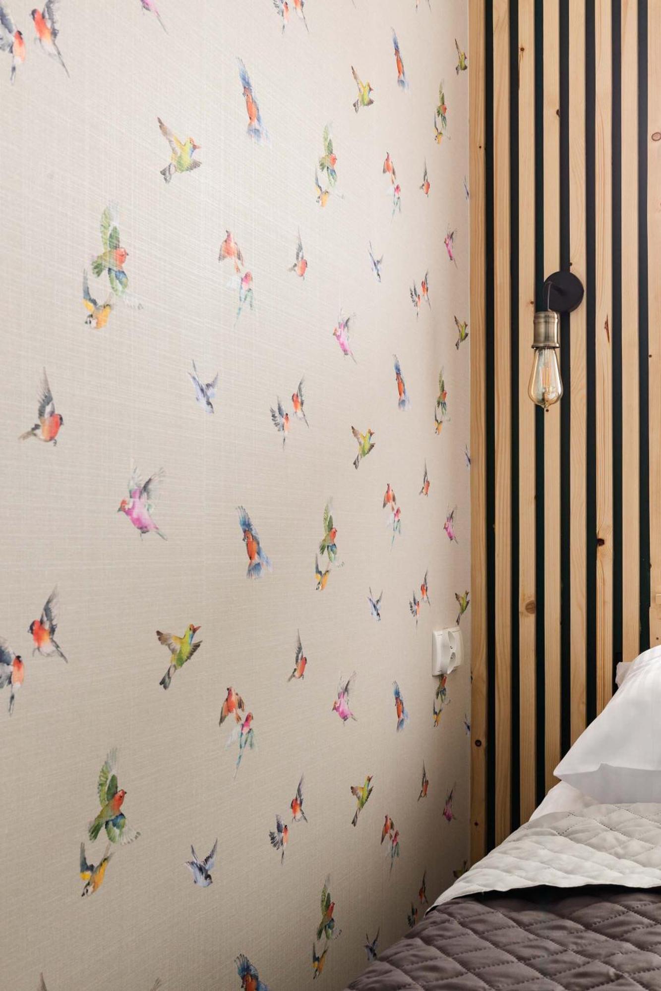 Apartament Mira Centrum זקופאנה מראה חיצוני תמונה